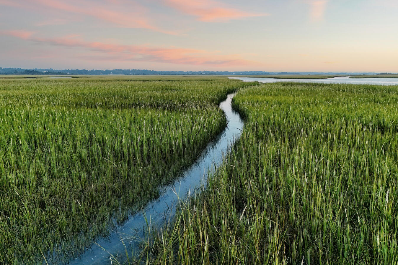 Tidal Creek at Dawn